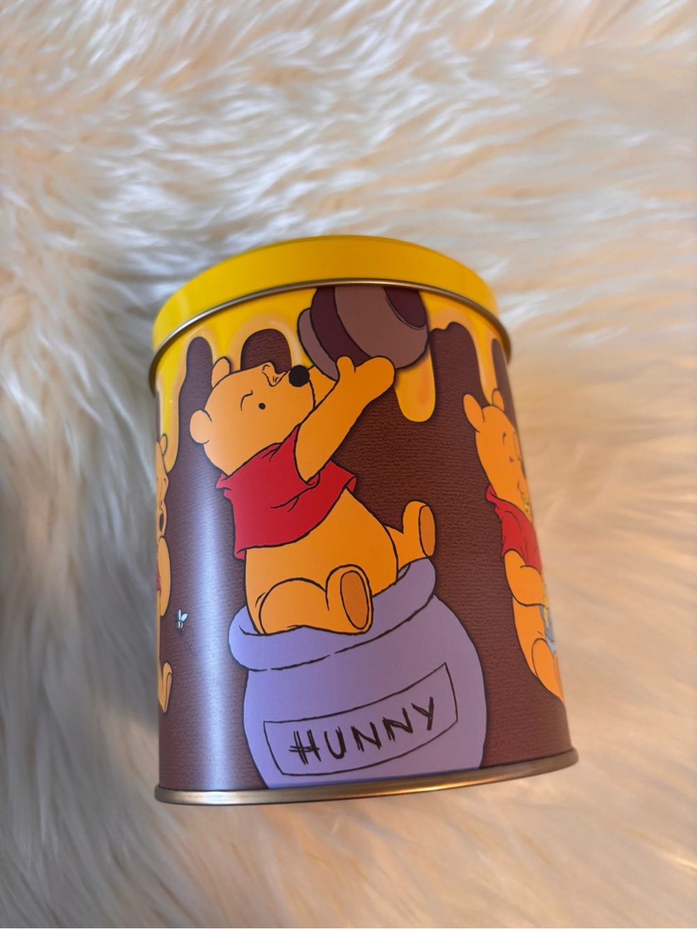 Winnie the Pooh Tin Tokyo Disneyland GUC